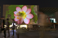 7440장으로 만나는 아이 웨이웨이의 모든 것 관련 이미지