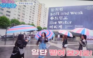 스타가 다녀간 광주비엔날레 관련 이미지